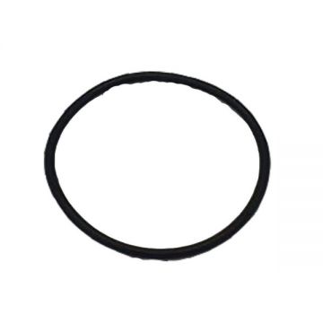 Garnitura pompa Booster RURIS , pentru atomizor Ruris 103s Garnitura pompa Booster RURIS , pentru atomizor Ruris 103s